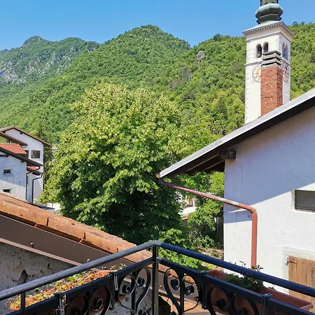Sobe Pri Olivi *