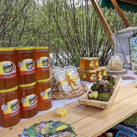 게스트하우스 Sobe Pri Olivi *