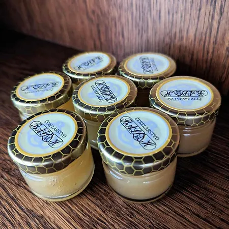 Sobe Pri Olivi ゲストハウス