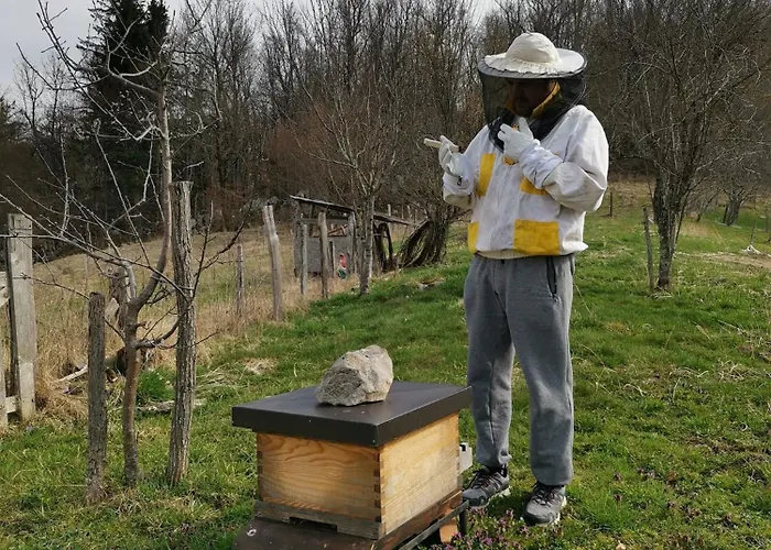 ゲストハウス Sobe Pri Olivi *