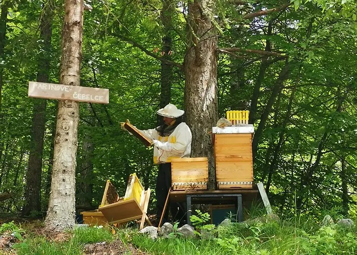 Sobe Pri Olivi ゲストハウス