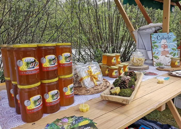 ゲストハウス Sobe Pri Olivi *