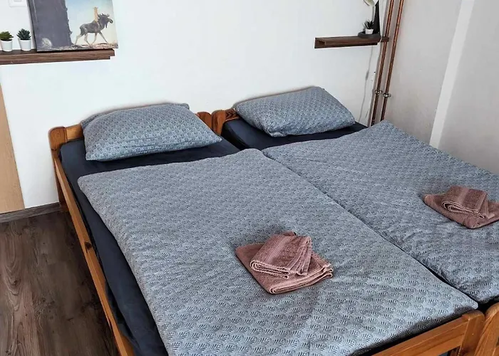 Sobe Pri Olivi ゲストハウス *